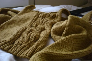 Exhibit 1: Sweater, pre-Soaking